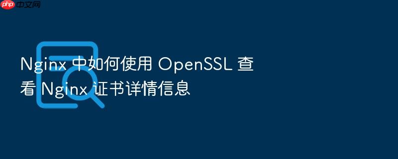nginx 中如何使用 openssl 查看 nginx 证书详情信息
