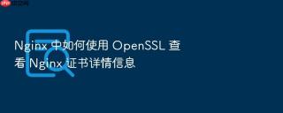 nginx 中如何使用 openssl 查看 nginx 证书详情信息