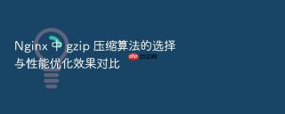 nginx 中 gzip 压缩算法的选择与性能优化效果对比