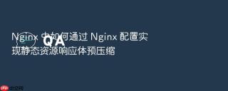 nginx 中如何通过 nginx 配置实现静态资源响应体预压缩