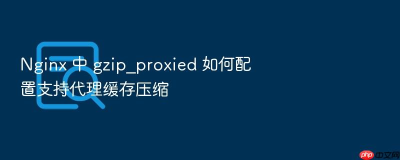 nginx 中 gzip_proxied 如何配置支持代理缓存压缩