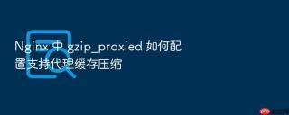 nginx 中 gzip_proxied 如何配置支持代理缓存压缩