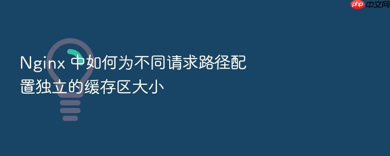 nginx 中如何为不同请求路径配置独立的缓存区大小