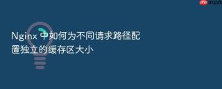 nginx 中如何为不同请求路径配置独立的缓存区大小