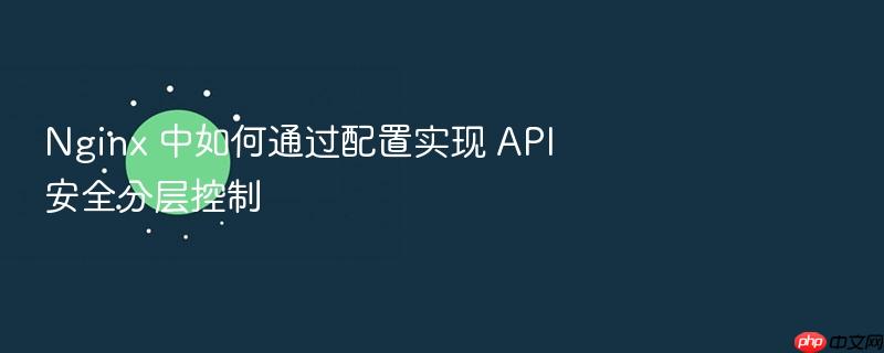 nginx 中如何通过配置实现 api 安全分层控制