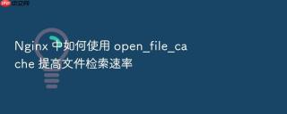 nginx 中如何使用 open_file_cache 提高文件检索速率
