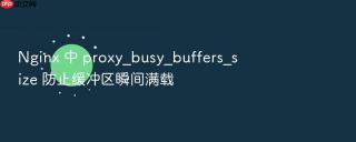 nginx 中 proxy_busy_buffers_size 防止缓冲区瞬间满载