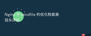 nginx 中 sendfile 的优化性能表现与评估