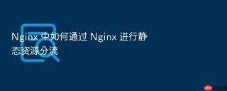 nginx 中如何通过 nginx 进行静态资源分流