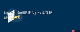 nginx 中如何配置 nginx 实现智能流量分发