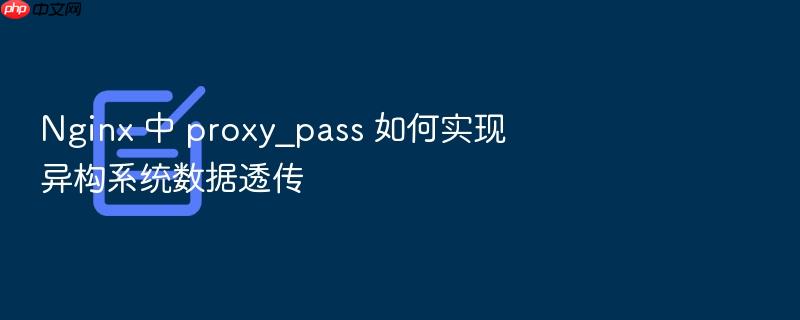 nginx 中 proxy_pass 如何实现异构系统数据透传