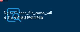 nginx 中 open_file_cache_valid 定义文件描述符缓存时效