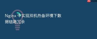 nginx 中实现双机热备环境下数据链路冗余