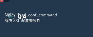 Nginx 中 ssl_conf_command 解决 SSL 配置兼容性