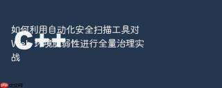 如何利用自动化安全扫描工具对 web 环境脆弱性进行全量治理实战