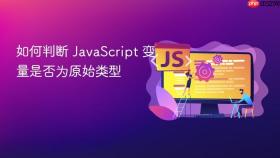 如何判断 javascript 变量是否为原始类型
