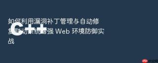 如何利用漏洞补丁管理与自动修复联动系统增强 web 环境防御实战