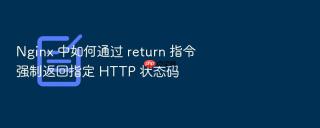 nginx 中如何通过 return 指令强制返回指定 http 状态码