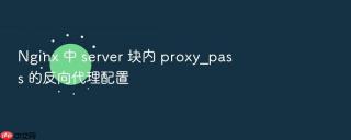 nginx 中 server 块内 proxy_pass 的反向代理配置