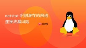 netstat 识别潜在的网络连接泄漏风险