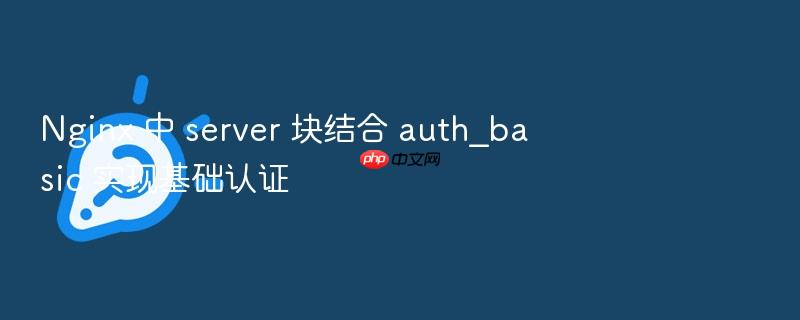 nginx 中 server 块结合 auth_basic 实现基础认证