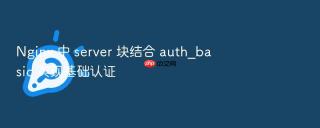 nginx 中 server 块结合 auth_basic 实现基础认证