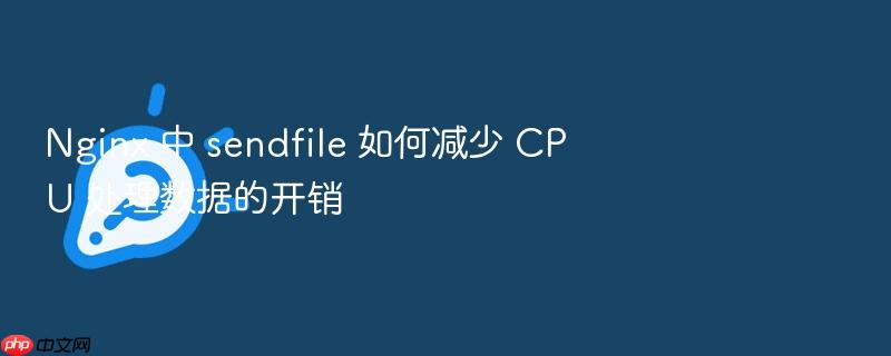 nginx 中 sendfile 如何减少 cpu 处理数据的开销