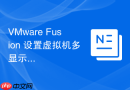VMware Fusion 设置虚拟机多显示器输出模式