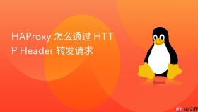haproxy 怎么通过 http header 转发请求