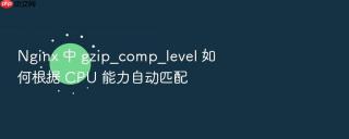 nginx 中 gzip_comp_level 如何根据 cpu 能力自动匹配