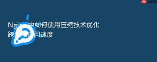 Nginx 中如何使用压缩技术优化跨地域访问速度