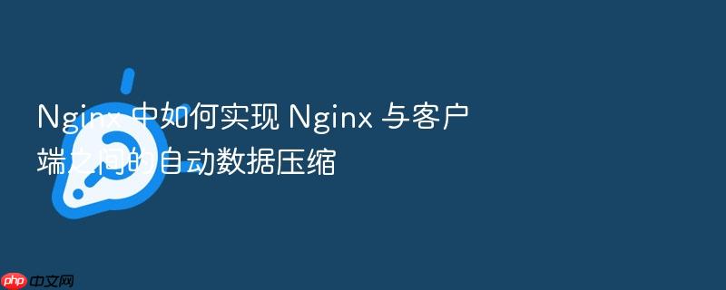 nginx 中如何实现 nginx 与客户端之间的自动数据压缩