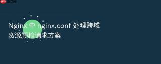 nginx 中 nginx.conf 处理跨域资源预检请求方案