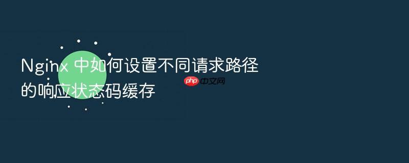nginx 中如何设置不同请求路径的响应状态码缓存