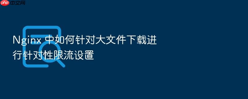 nginx 中如何针对大文件下载进行针对性限流设置