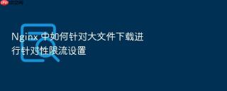 nginx 中如何针对大文件下载进行针对性限流设置