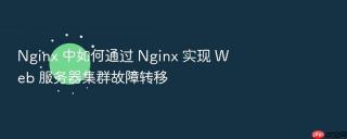 nginx 中如何通过 nginx 实现 web 服务器集群故障转移