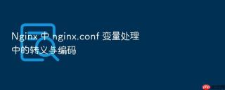 nginx 中 nginx.conf 变量处理中的转义与编码