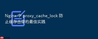 nginx 中 proxy_cache_lock 防止缓存击穿的最佳实践