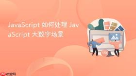 javascript 如何处理 javascript 大数字场景