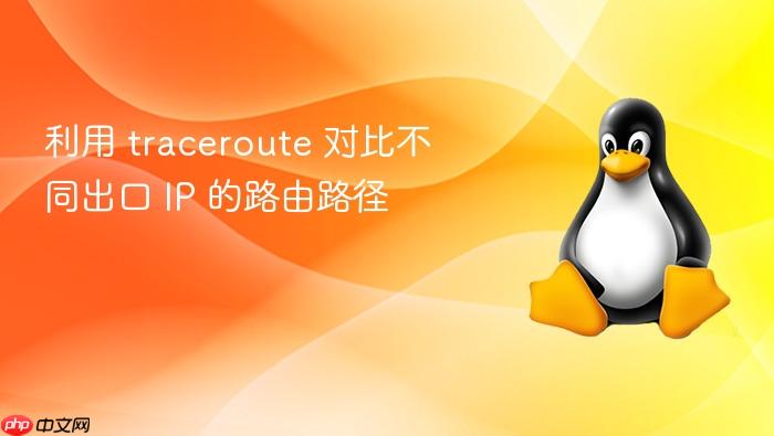 利用 traceroute 对比不同出口 ip 的路由路径