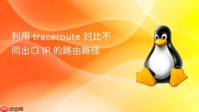利用 traceroute 对比不同出口 ip 的路由路径
