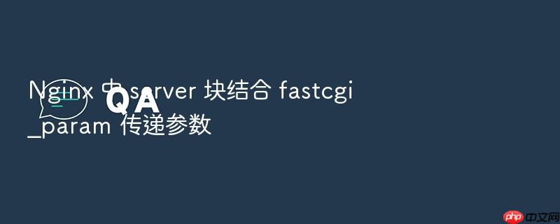 nginx 中 server 块结合 fastcgi_param 传递参数