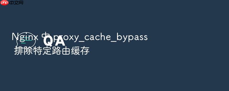 nginx 中 proxy_cache_bypass 排除特定路由缓存