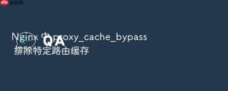 nginx 中 proxy_cache_bypass 排除特定路由缓存