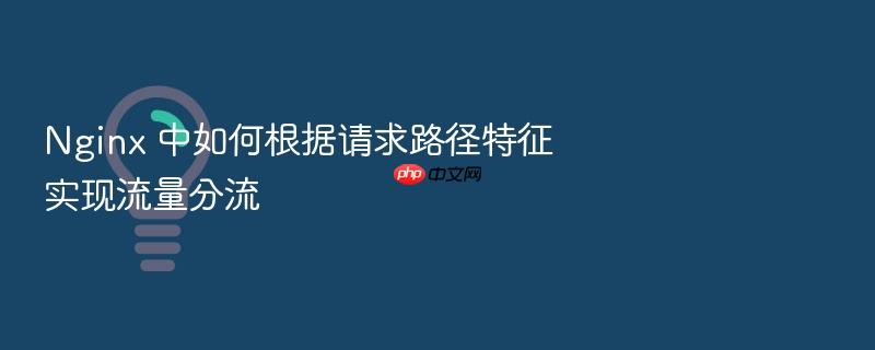 nginx 中如何根据请求路径特征实现流量分流