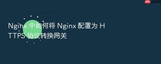 nginx 中如何将 nginx 配置为 https 协议转换网关