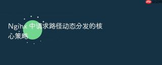Nginx 中请求路径动态分发的核心策略