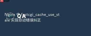 nginx 中 fastcgi_cache_use_stale 实现自动错误纠正