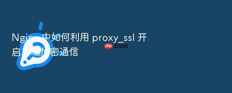 nginx 中如何利用 proxy_ssl 开启后端加密通信